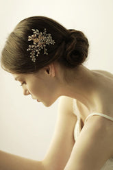 Elegant Alloy&Rhinestone Daily Wear Combs-Barrettes Headpiece with Crystal